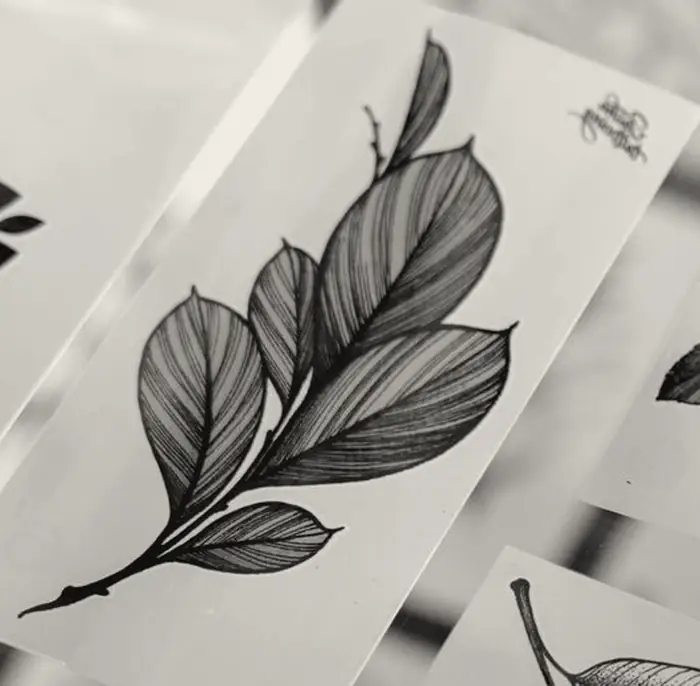 Hatched leaf branch, drawn on paper